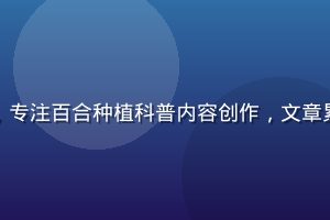 王磊园艺科普作者头像，专注百合种植科普内容创作，文章累计阅读量超500万次
