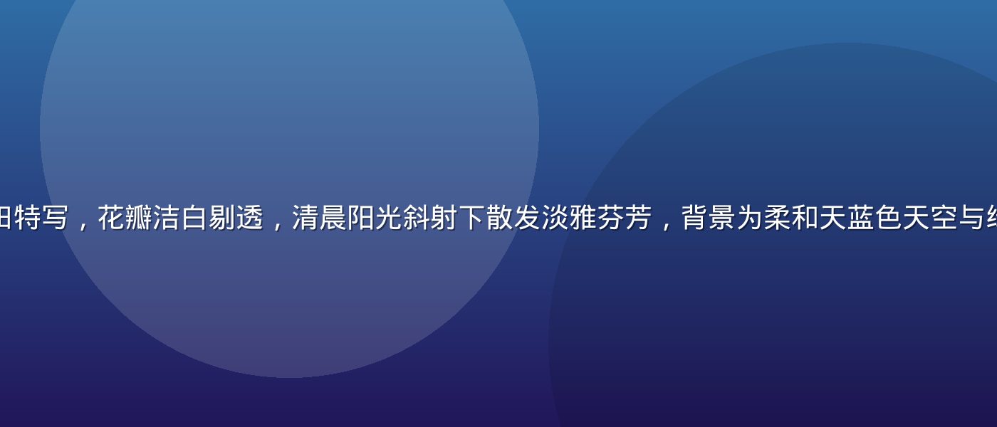 盛开的白色百合花田特写，花瓣洁白剔透，清晨阳光斜射下散发淡雅芬芳，背景为柔和天蓝色天空与绿叶，画面清新纯美